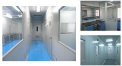 我能找到一家做實驗室裝修的家庭裝飾公司嗎?